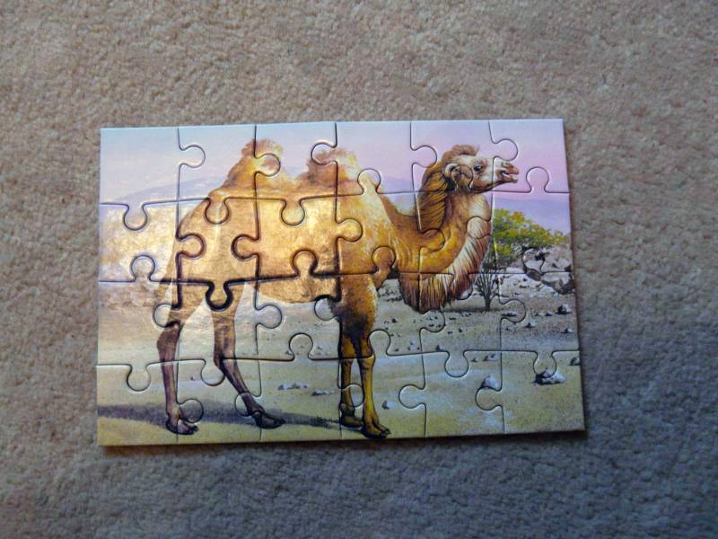 Иллюстрация 4 из 8 для Puzzle-24. MINI. Звери, ассортимент (А-02405-Z) | Лабиринт - игрушки. Источник: Smity