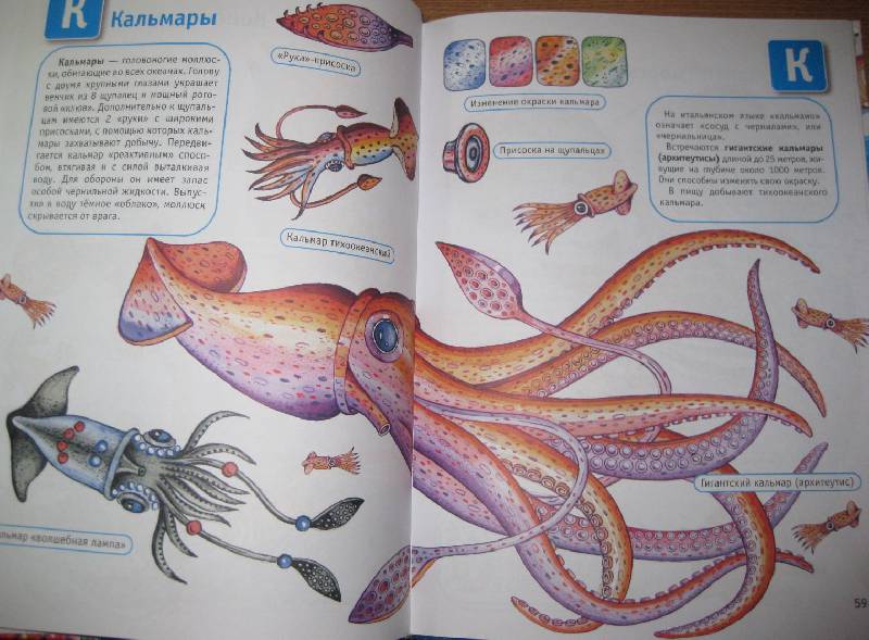 Иллюстрация 24 из 30 для Океаны и моря | Лабиринт - книги. Источник: Frosty