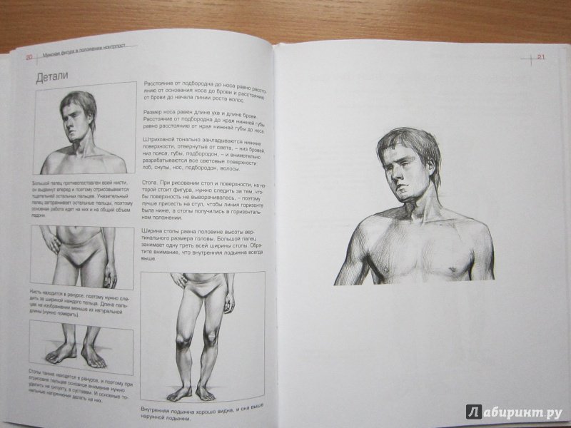 Иллюстрация 10 из 23 для Как рисовать фигуру человека. Пособие для поступающих в художественные вузы - Александр Рыжкин | Лабиринт - книги. Источник: Кулыгина  Елена