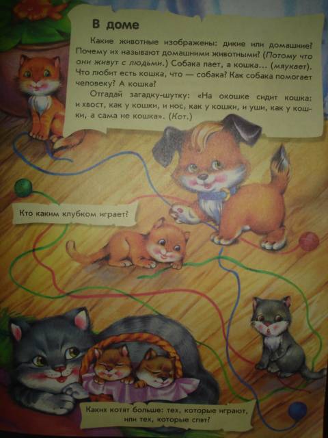 Иллюстрация 6 из 12 для О животных. Полезная книжка - Юлия Каспарова | Лабиринт - книги. Источник: Настёна
