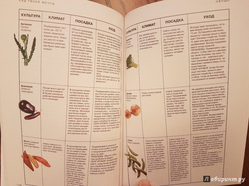 Иллюстрация 6 из 24 для Сад твоей мечты. Цветы и растения - Берни, Тугуд | Лабиринт - книги. Источник: Кабацкая  Алина