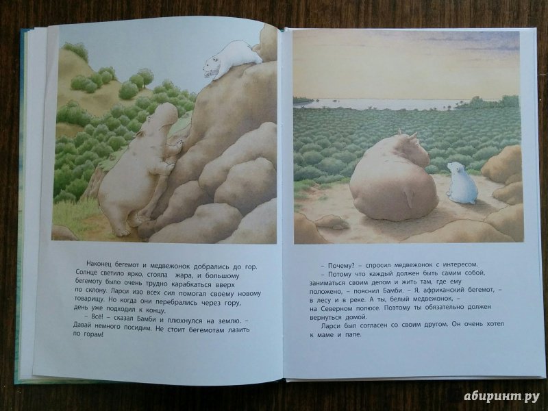 Иллюстрация 29 из 49 для Приключение белого медвежонка - Беер Де | Лабиринт - книги. Источник: Natalie Leigh