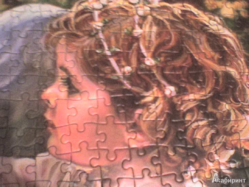 Иллюстрация 7 из 8 для Puzzle-1000 "Рука помощи" (C-102808) | Лабиринт - игрушки. Источник: Роза с шипами