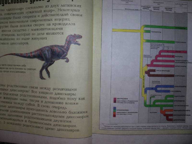Иллюстрация 3 из 6 для Удивительные динозавры - Дугал Диксон | Лабиринт - книги. Источник: Tiger.