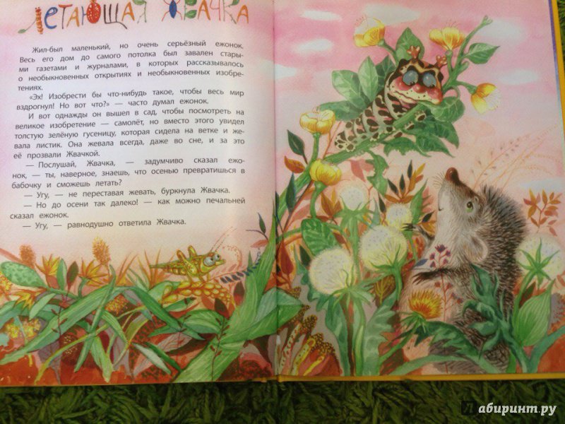 Иллюстрация 5 из 59 для Усатый сюрприз - Георгий Юдин | Лабиринт - книги. Источник: Анастасия