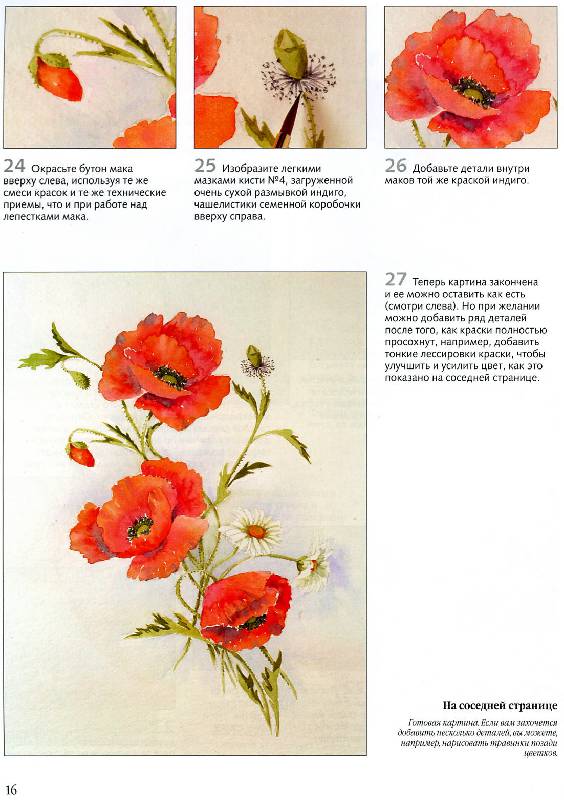 Иллюстрация 20 из 22 для Рисуем по схемам. Цветы. Акварель - Венди Тэйт | Лабиринт - книги. Источник: Росинка