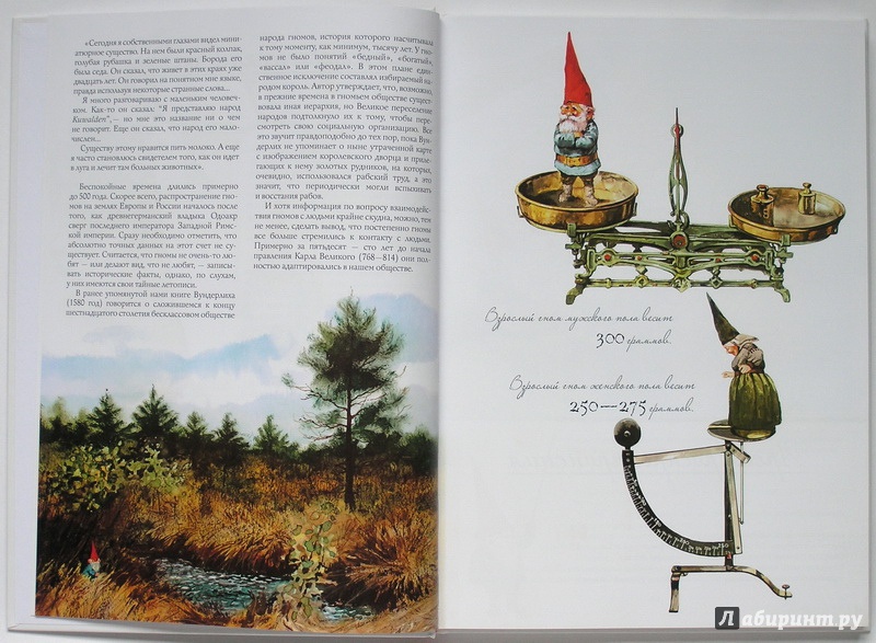 Иллюстрация 33 из 63 для Энциклопедия гномов - Вил Хёйген | Лабиринт - книги. Источник: МАТВЕЙКА