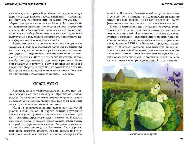 Иллюстрация 7 из 54 для Самые удивительные растения - Сергей Афонькин | Лабиринт - книги. Источник: Юта