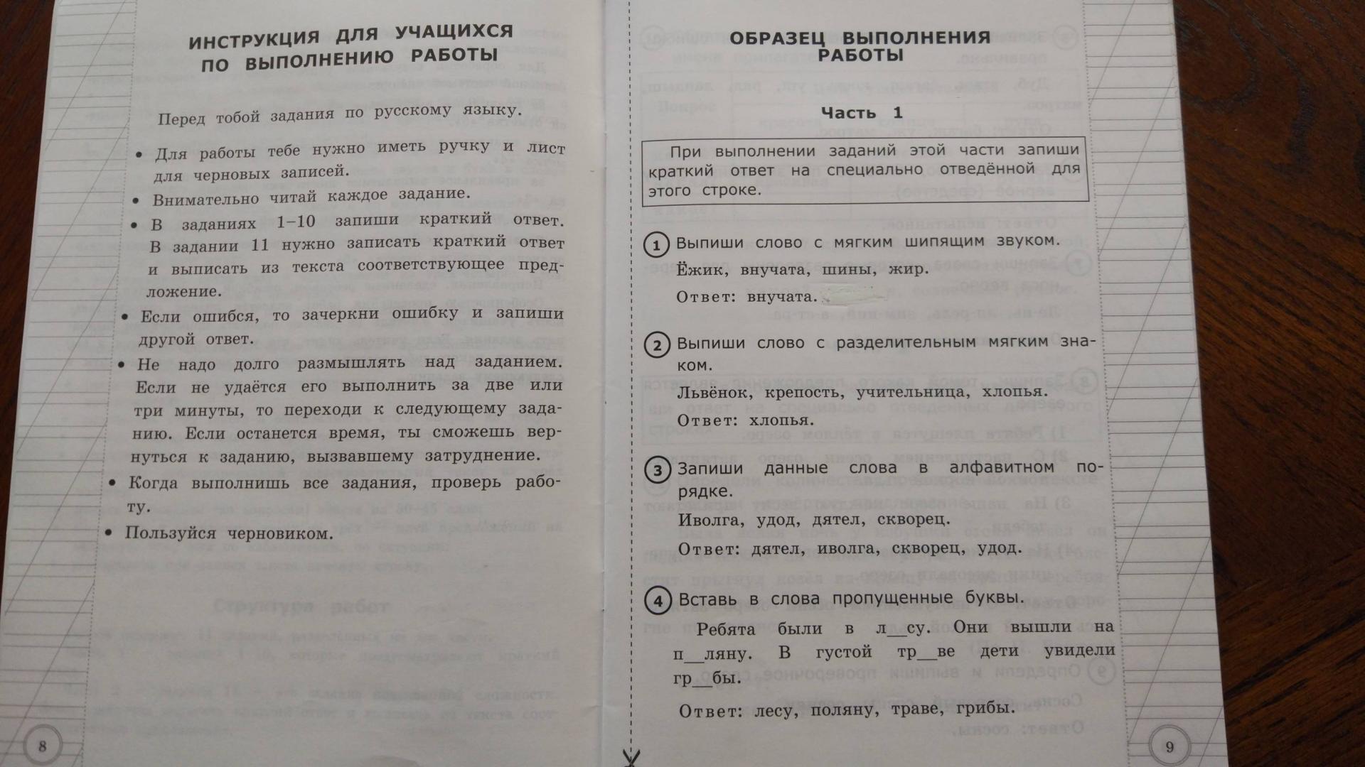 Русский язык 3 всероссийская проверочная работа