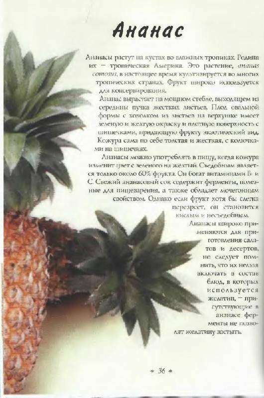 Иллюстрация 22 из 56 для Вкусные украшения из овощей, фруктов, ягод и грибов - Кикки Сихота | Лабиринт - книги. Источник: Юта