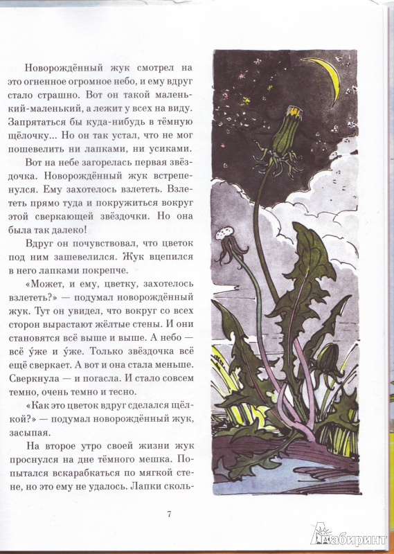 Иллюстрация 22 из 33 для Жёлтый, белый, лиловый - Нина Павлова | Лабиринт - книги. Источник: Трубадур