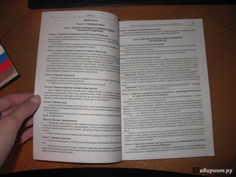 Иллюстрация 2 из 5 для Уголовный кодекс Российской Федерации. По состоянию на 20 ноября 2013 | Лабиринт - книги. Источник: Мельникова Ирина