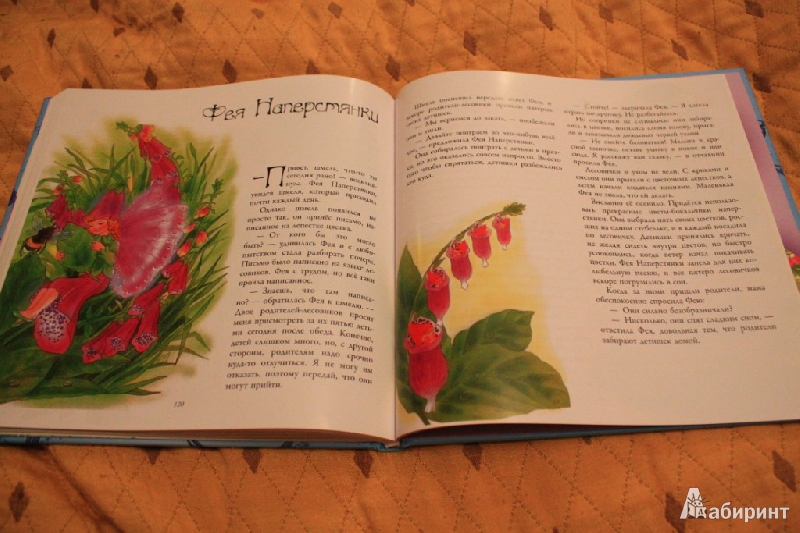 Иллюстрация 11 из 31 для Сказки цветочного королевства - Кристл Вогл | Лабиринт - книги. Источник: Mammut