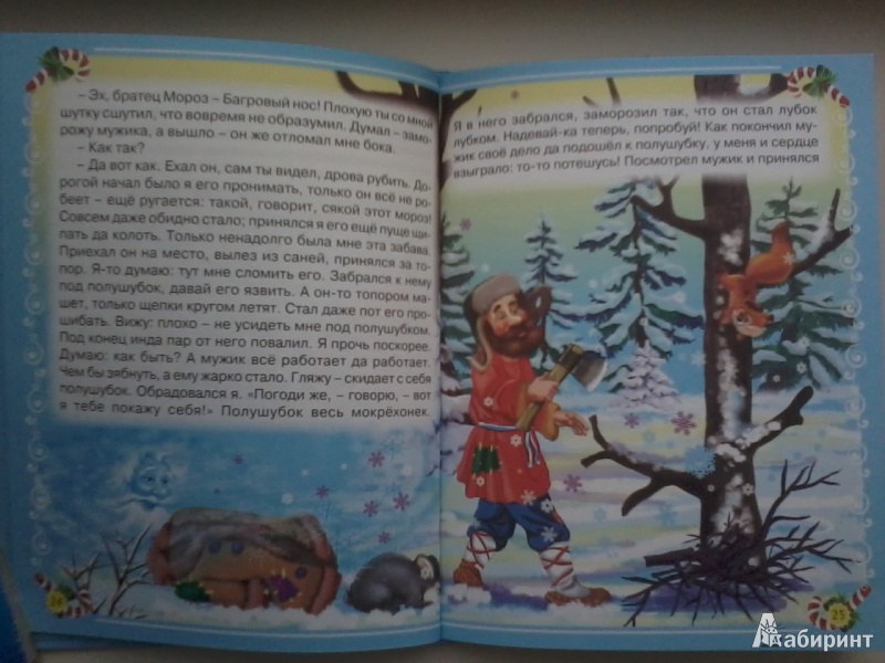 Иллюстрация 12 из 19 для Морозко и другие сказки | Лабиринт - книги. Источник: Данилка