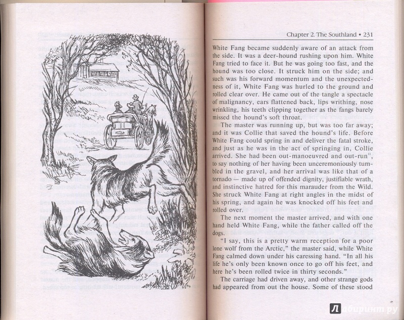 Иллюстрация 9 из 13 для White Fang - Джек Лондон | Лабиринт - книги. Источник: Эля