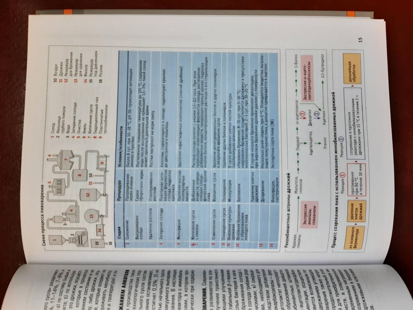 Иллюстрация 16 из 17 для Наглядная биотехнология и генетическая инженерия - Рольф Шмид | Лабиринт - книги. Источник: Лабиринт