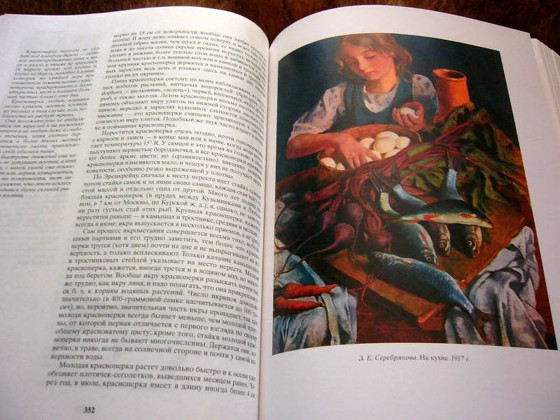 Иллюстрация 24 из 34 для Жизнь и ловля пресноводных рыб - Леонид Сабанеев | Лабиринт - книги. Источник: Nika