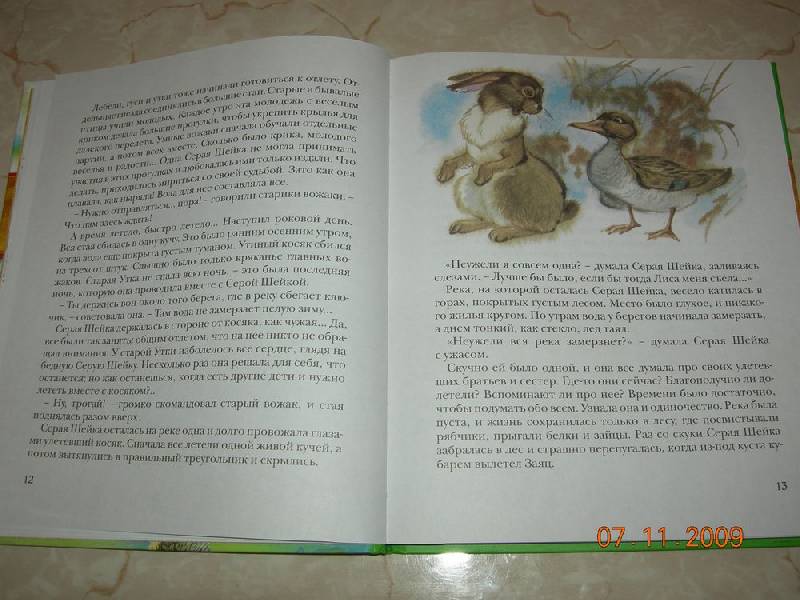 Иллюстрация 18 из 31 для Алёнушкины сказки | Лабиринт - книги. Источник: Соловей