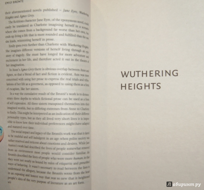 Иллюстрация 9 из 16 для Wuthering Heights - Emily Bronte | Лабиринт - книги. Источник: Tatiana Sheehan