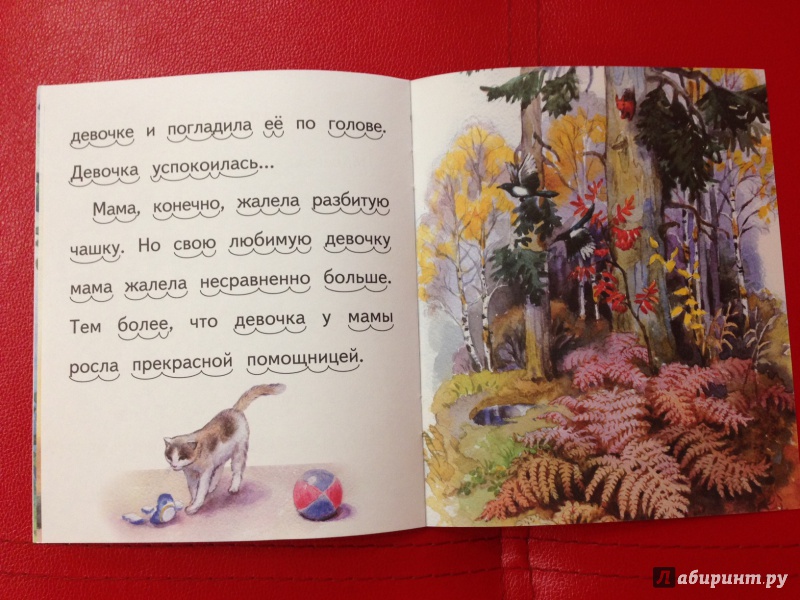 Иллюстрация 27 из 27 для Солнечный котёнок - Владимир Степанов | Лабиринт - книги. Источник: М.  Наташа