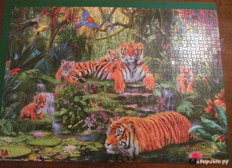 Иллюстрация 6 из 11 для Step Puzzle-2000 "В джунглях. Тигры" (84020) | Лабиринт - игрушки. Источник: Богданов Иван