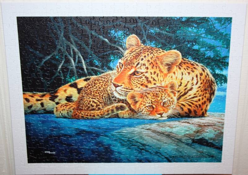 Иллюстрация 7 из 9 для Step Puzzle-300 "Леопарды" (98009) | Лабиринт - игрушки. Источник: Лисенка