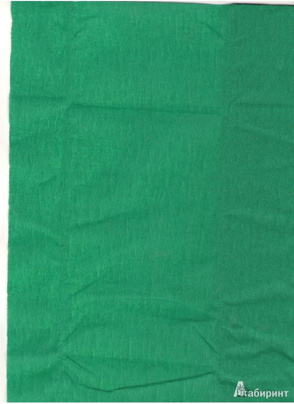 Иллюстрация 2 из 2 для Бумага цветная крепированная, зеленая (КБ001) | Лабиринт - канцтовы. Источник: Молчанова  Олеся