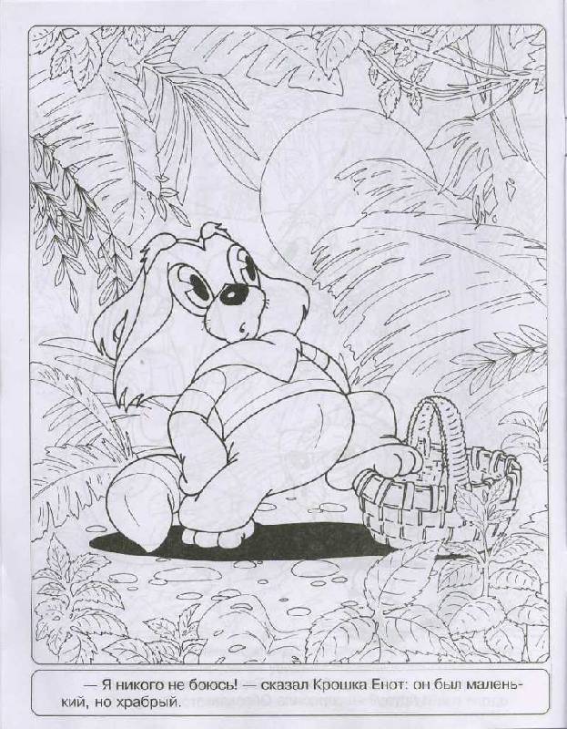 Иллюстрация 15 из 30 для Книжка-раскраска "Крошка Енот" | Лабиринт - книги. Источник: Орешек