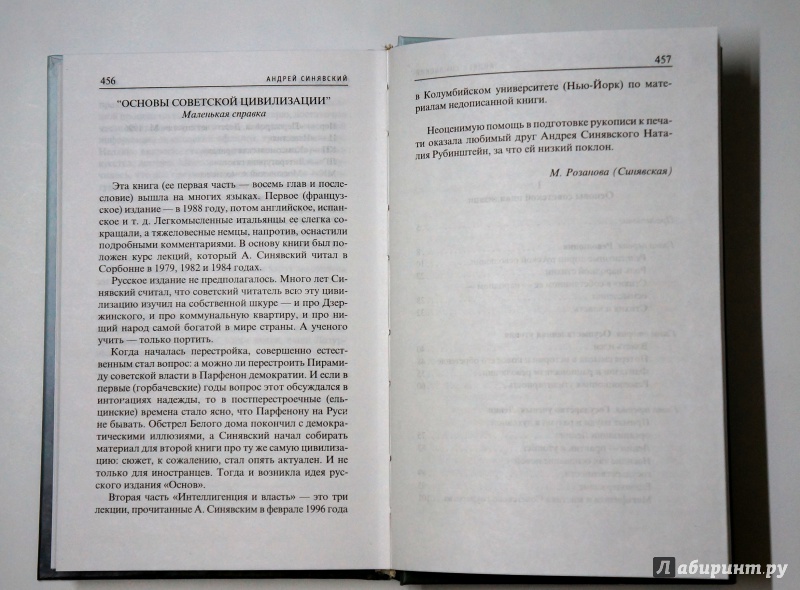 Иллюстрация 9 из 23 для Основы советской цивилизации - Андрей Синявский | Лабиринт - книги. Источник: Д