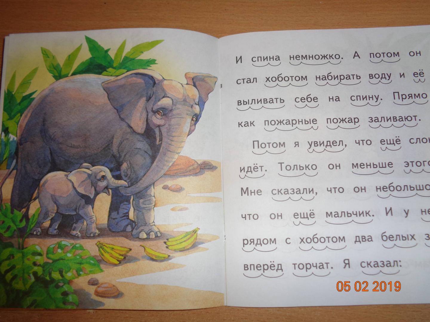 Иллюстрация 13 из 15 для Какие слоны умные - Борис Житков | Лабиринт - книги. Источник: Черноскутова  Татьяна Сергеевна