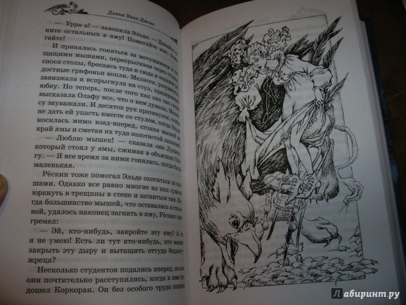 Иллюстрация 14 из 41 для Год грифона - Диана Джонс | Лабиринт - книги. Источник: Tiger.