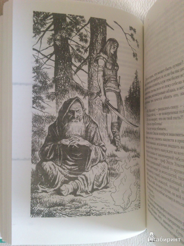 Иллюстрация 12 из 23 для Ааргх: Ааргх; Ааргх в эльфятнике; Ааргх на троне - Андрей Белянин | Лабиринт - книги. Источник: MiCCim