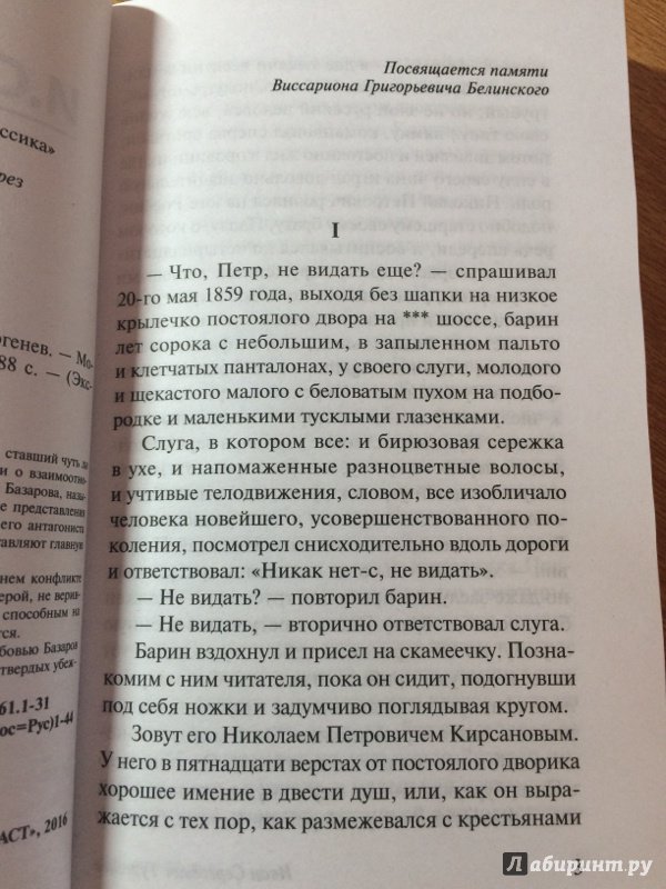 Иллюстрация 29 из 65 для Отцы и дети - Иван Тургенев | Лабиринт - книги. Источник: Сидоренко  Ирина