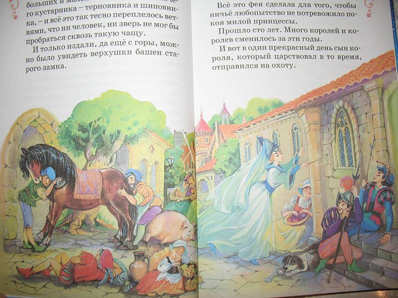 Иллюстрация 6 из 21 для Сказки о принцессах | Лабиринт - книги. Источник: Lublu!