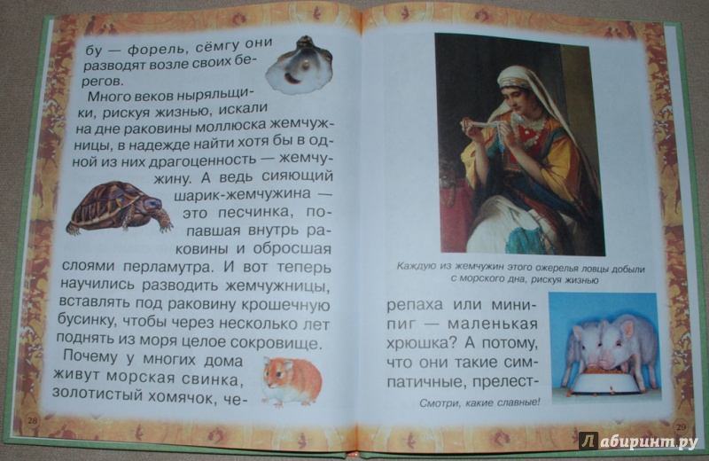 Иллюстрация 17 из 31 для Животные: помощники и друзья - Инна Гамазкова | Лабиринт - книги. Источник: Книжный кот