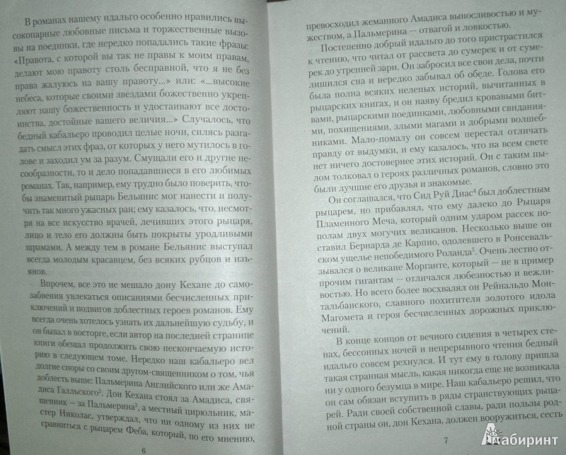 Иллюстрация 7 из 8 для Хитроумный идальго Дон Кихот Ламанчский - Сервантес Мигель де Сааведра | Лабиринт - книги. Источник: Леонид Сергеев