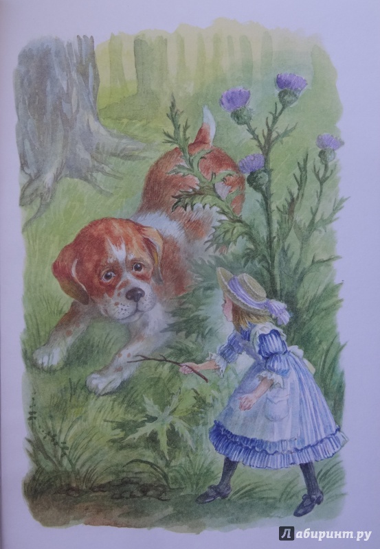 Иллюстрация 22 из 61 для Алиса в Стране Чудес - Льюис Кэрролл | Лабиринт - книги. Источник: Елена G