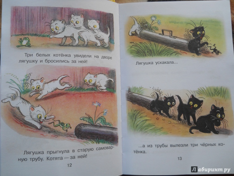 Иллюстрация 13 из 13 для Сказки и картинки Сутеева - Владимир Сутеев | Лабиринт - книги. Источник: Rozeola