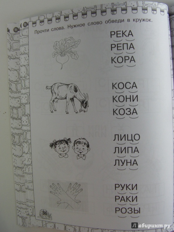 Иллюстрация 31 из 33 для Первая книжка для чтения с крупными буквами наклейками - Олеся Жукова | Лабиринт - книги. Источник: Elena Yudina