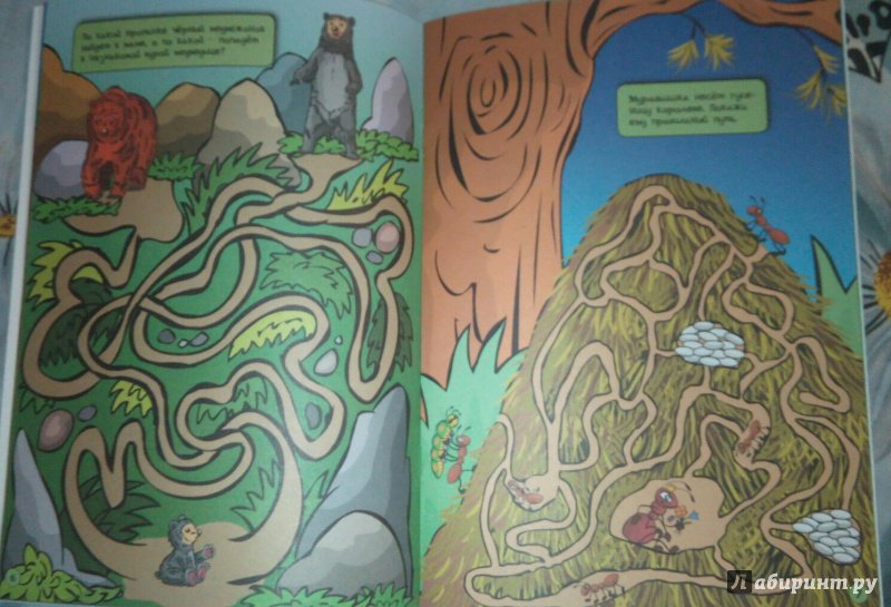 Иллюстрация 16 из 16 для Лабиринты. Чудесный лес. Тетрадь для занятий с детьми 5-6 лет - Вениамин Мёдов | Лабиринт - книги. Источник: МНатали