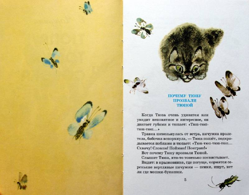 Иллюстрация 39 из 62 для Тюпа, Томка и сорока - Евгений Чарушин | Лабиринт - книги. Источник: Валерия
