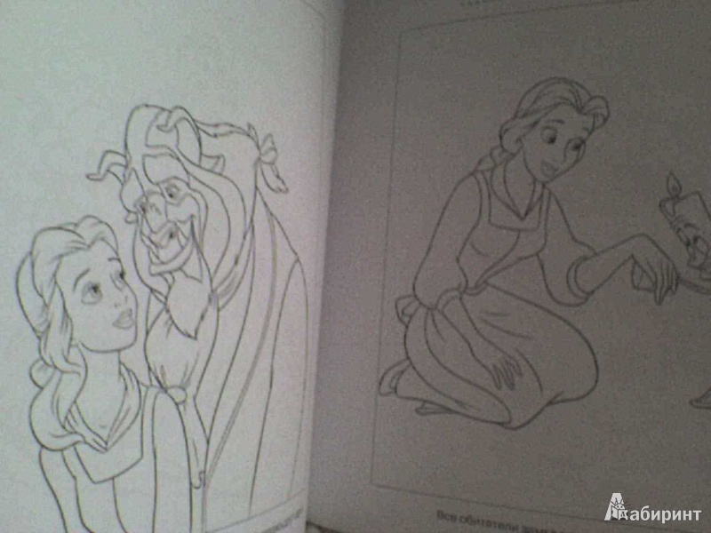 Иллюстрация 5 из 5 для Наклей и раскрась! "Красавица и чудовище" (№ 12152) | Лабиринт - книги. Источник: Роза с шипами