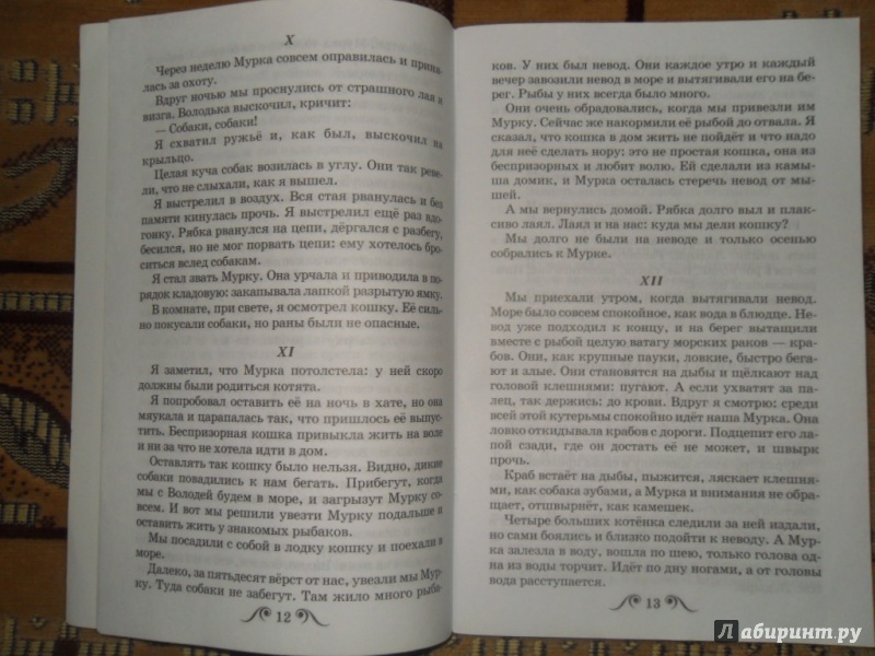 Иллюстрация 16 из 34 для Рассказы о природе | Лабиринт - книги. Источник: Мама чуда