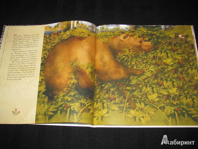 Иллюстрация 50 из 70 для Жизнь в тайге - Бренда Гиберсон | Лабиринт - книги. Источник: Nemertona