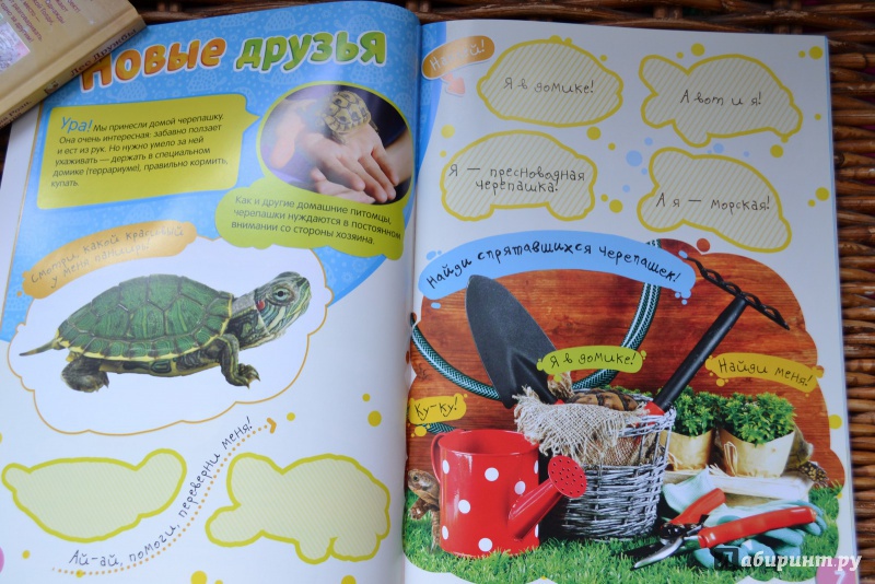 Иллюстрация 11 из 18 для Моя милая черепаха | Лабиринт - книги. Источник: ИрМур