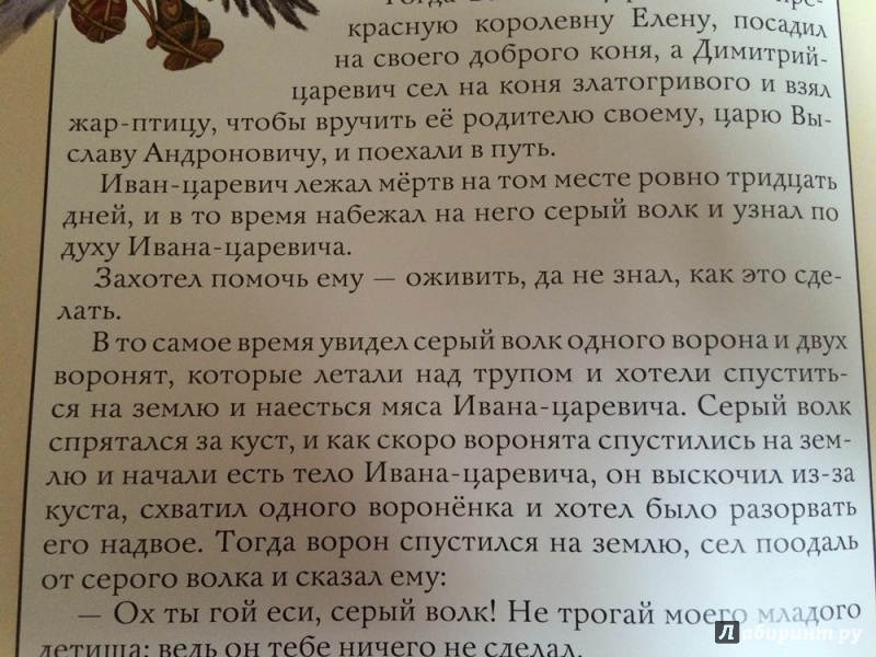 Иллюстрация 21 из 56 для Золотая книга любимых русских сказок | Лабиринт - книги. Источник: Ирруся