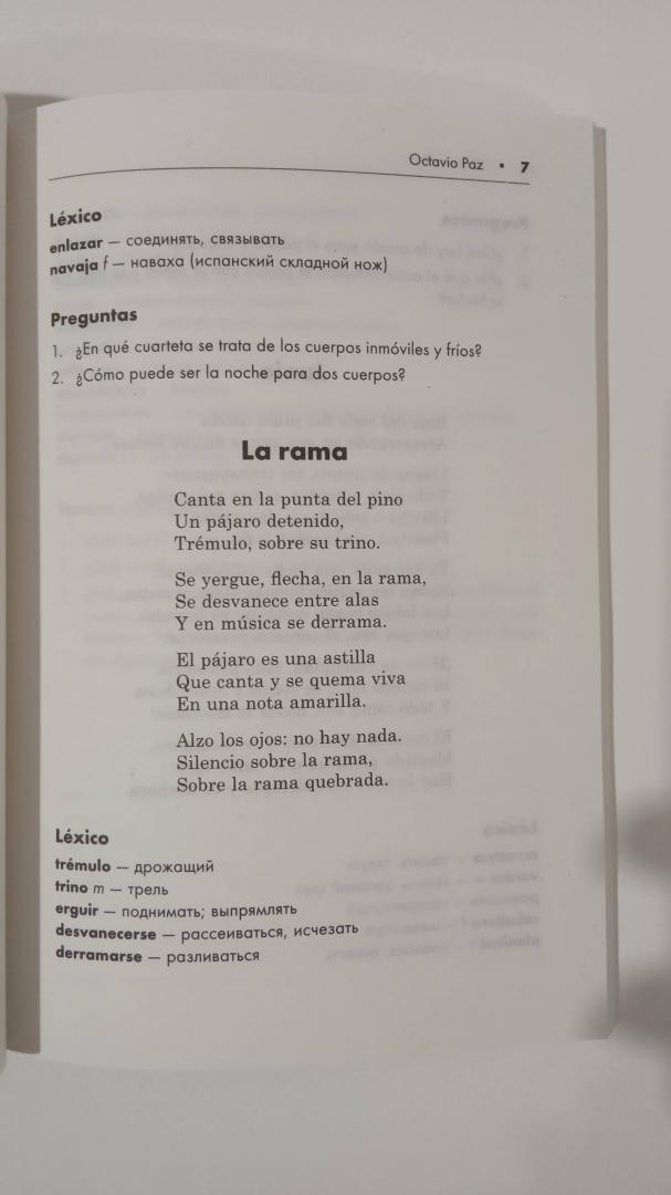 Иллюстрация 28 из 43 для Поэзия Латинской Америки ХХ века. Книга для чтения на испанском языке - Borges, Paz, Storni | Лабиринт - книги. Источник: Филипп