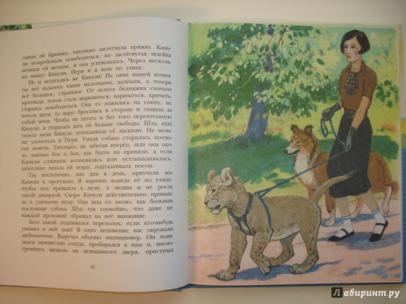 Иллюстрация 7 из 43 для Фомка - белый медвежонок - Вера Чаплина | Лабиринт - книги. Источник: Сорокина  Лариса