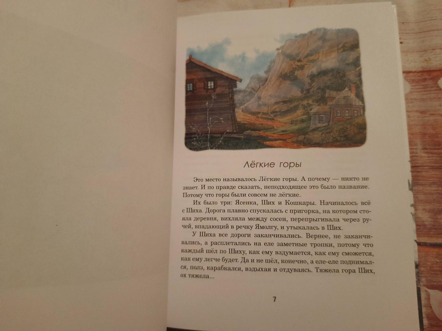 Иллюстрация 60 из 73 для Легкие горы - Тамара Михеева | Лабиринт - книги. Источник: Марина