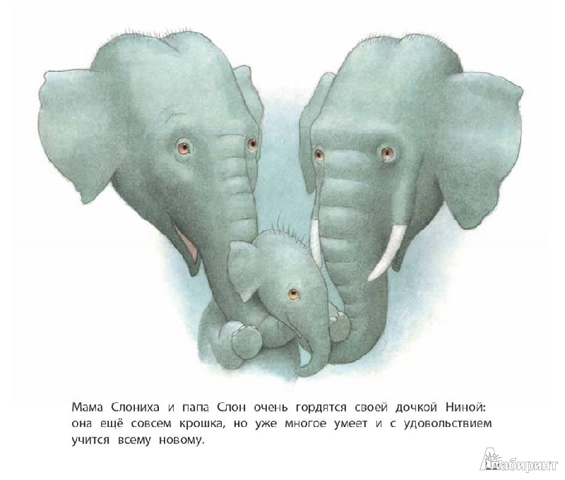 Есть мама у слоненка. Мама слон. Слон отец. Слон мама папа. Слоны и мамы.